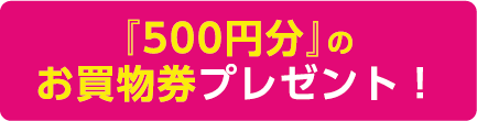 『500円分』のお買物券プレゼント！