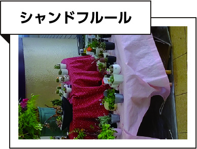 シャンドフルール